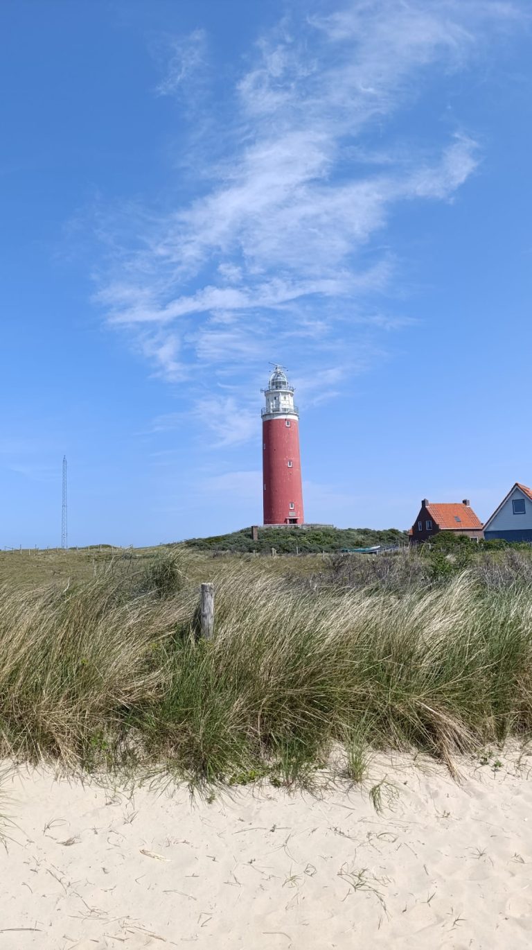 Slingers, bloemen en zoenen / de vuurtoren van Texel